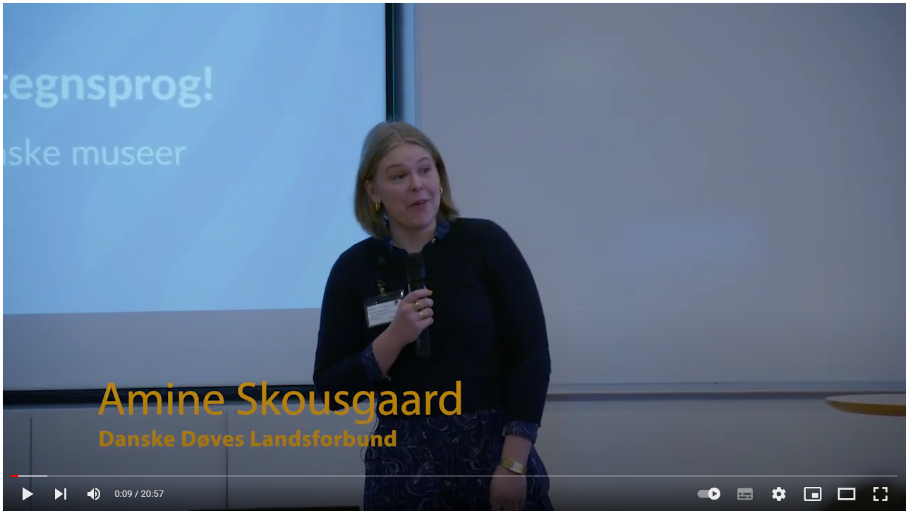 Screendump af Amine Skousgaards video - Seminar om tilgængelighed - 9-3-23