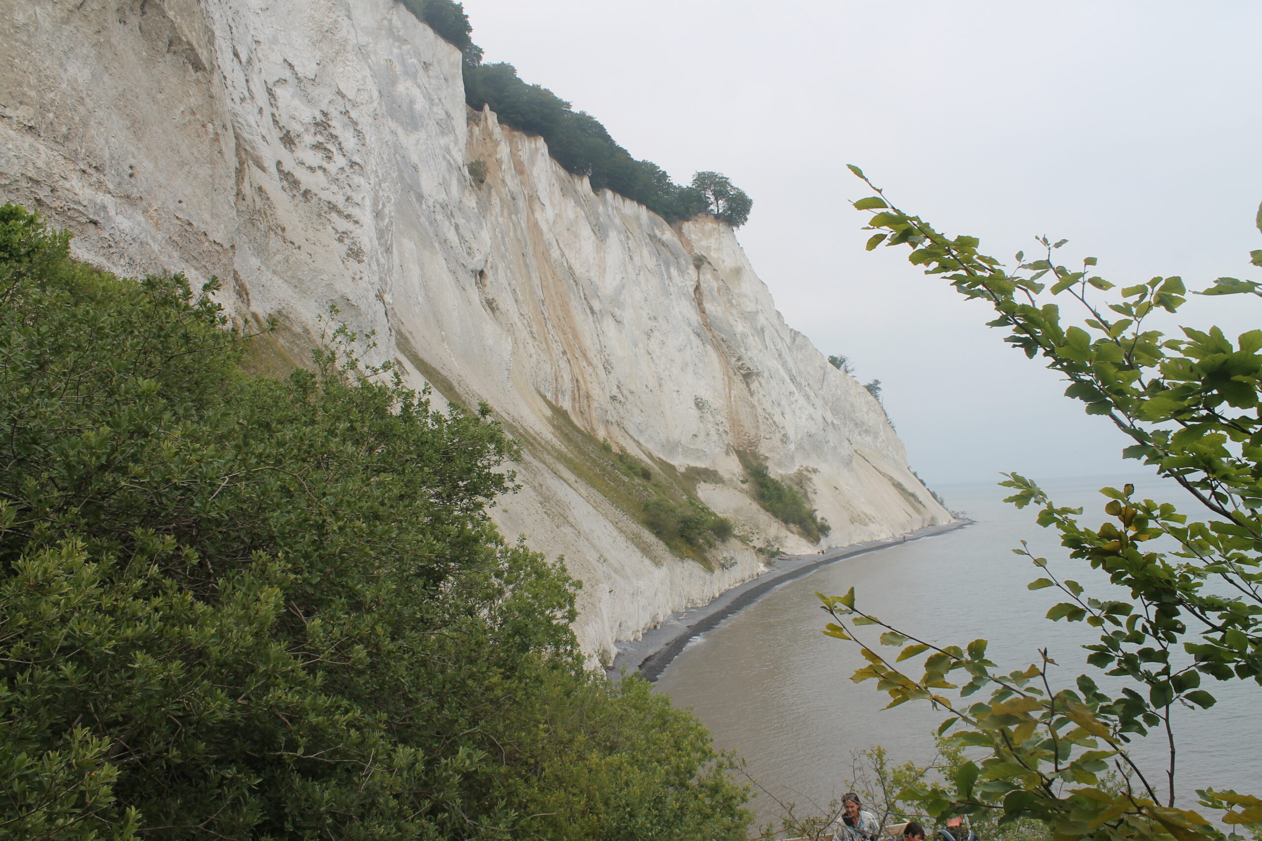 Foto Møns Klint