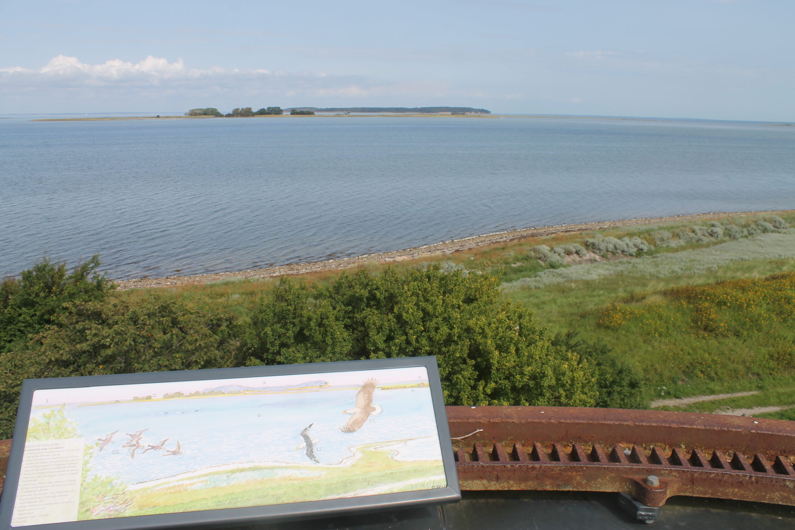 Foto af Gyldensteen Strand